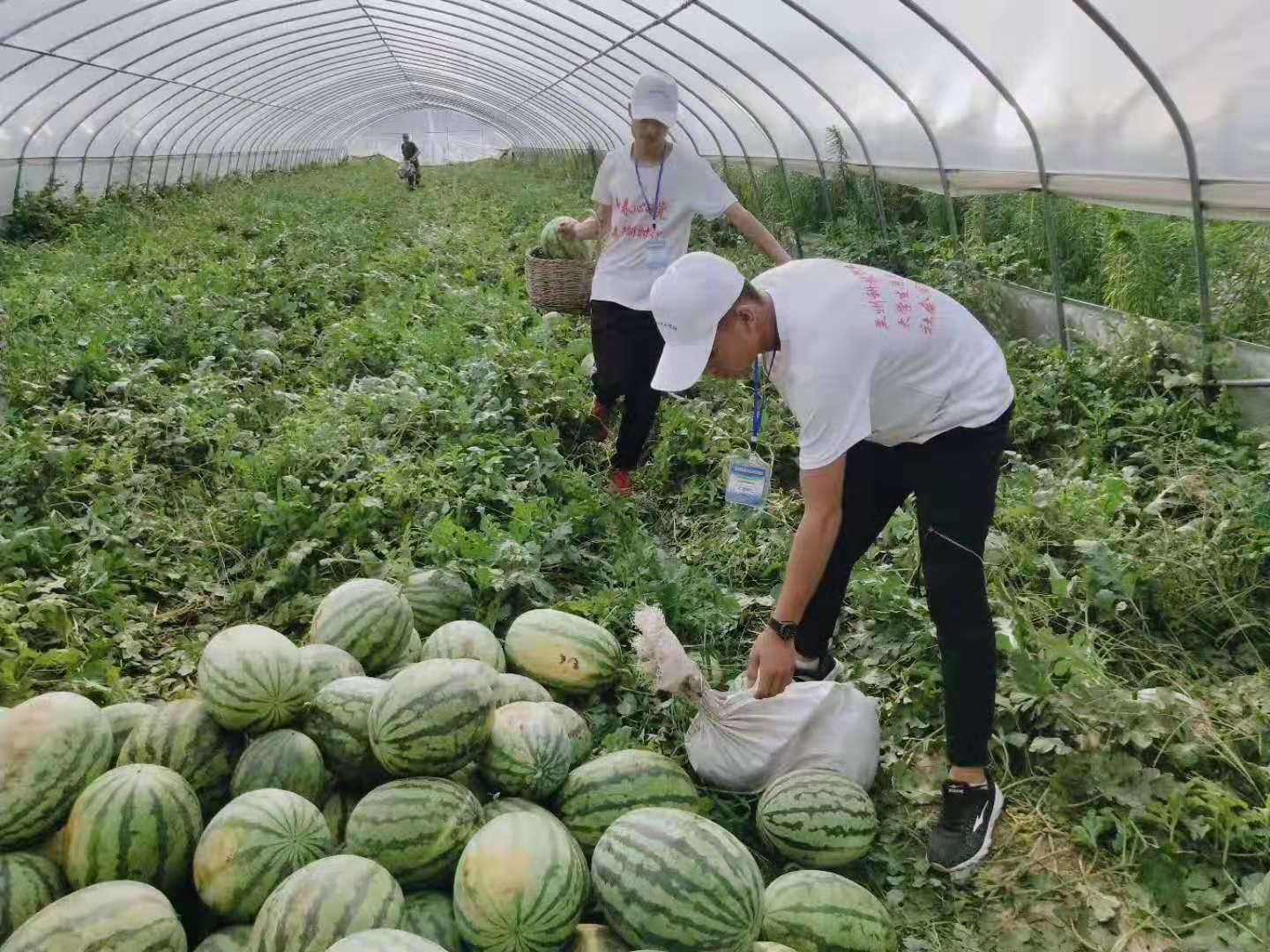 1563180861.jpg 微信图片_201907151634128.jpg